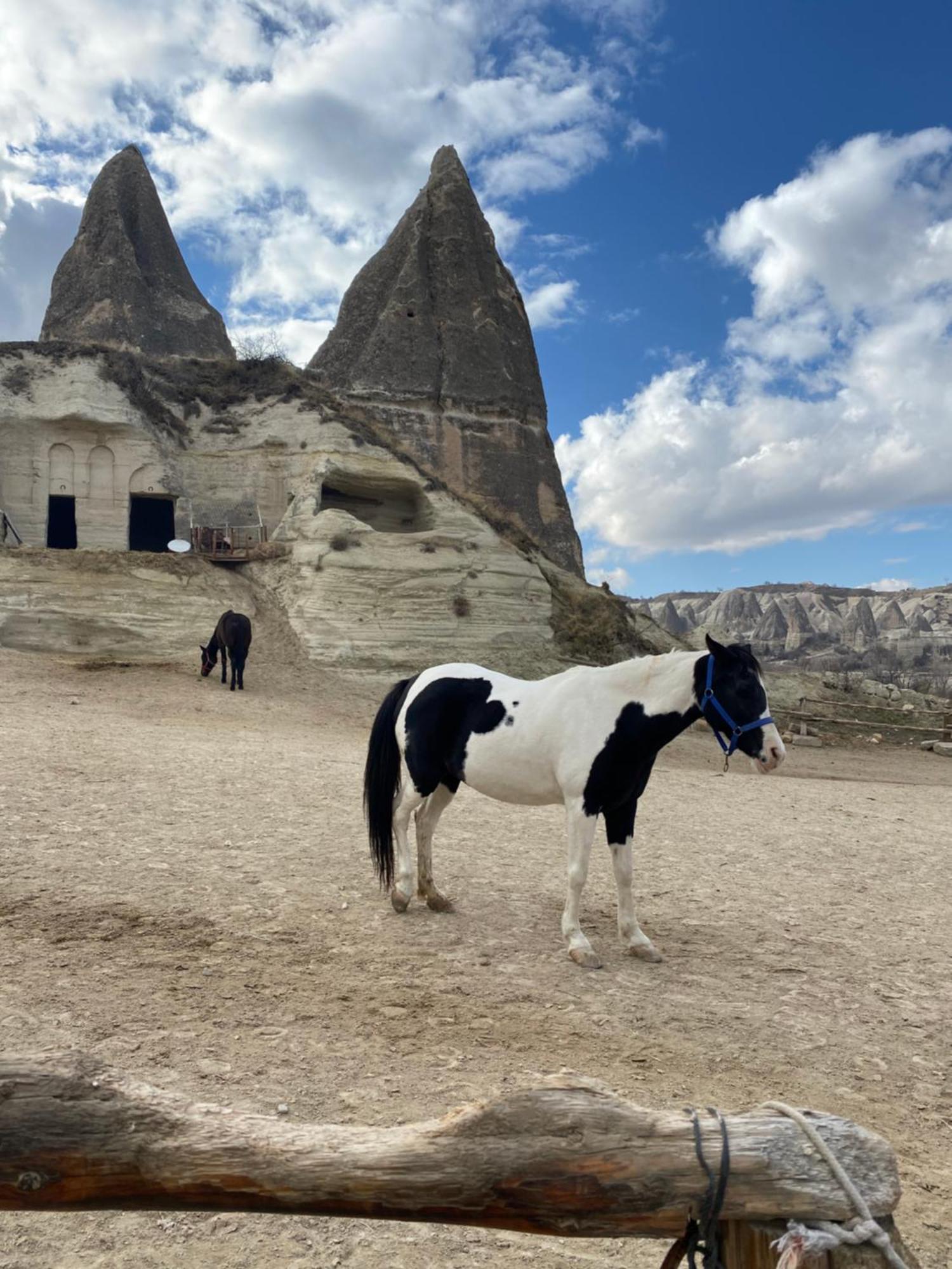 Sinasos Evleri Hotell Nevşehir Exteriör bild